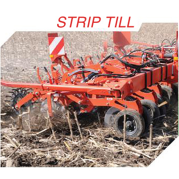 Strip-Till (27)